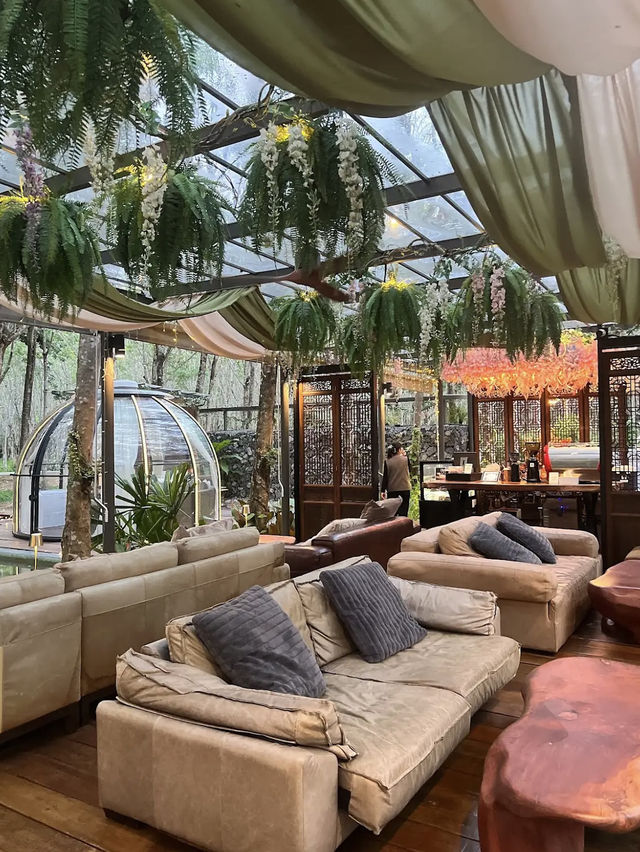 Luxury Meets Nature at Timber Society – Private Pool Glamping, Phuket