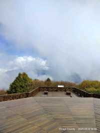 จุดชมวิว Zhushan Station Mt.Okasawara Alishan