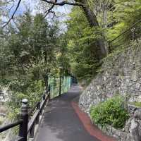 Nanzoin temple แลนด์มาร์คของ Fukuoka