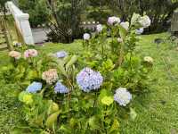 Gardens That Soothe the Soul