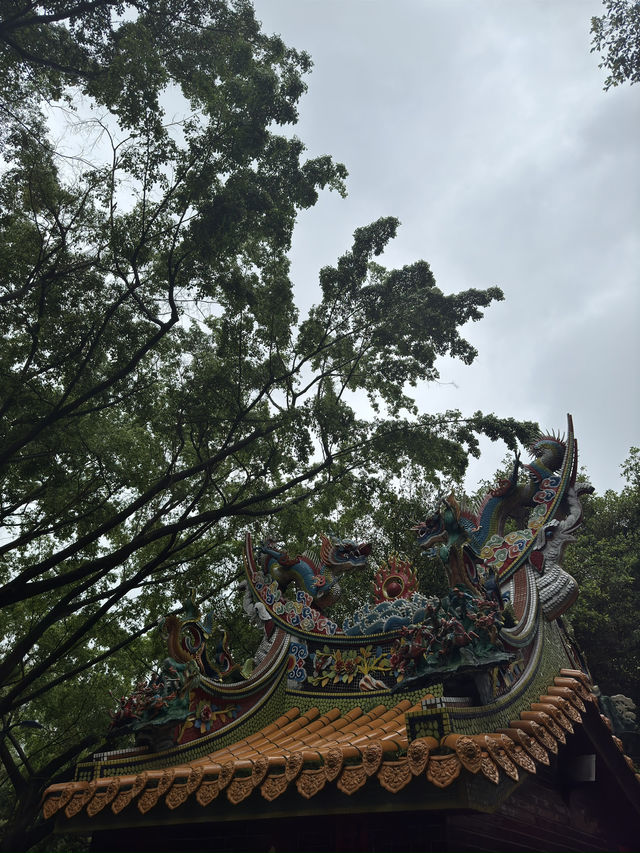 台北｜象山一日遊指南