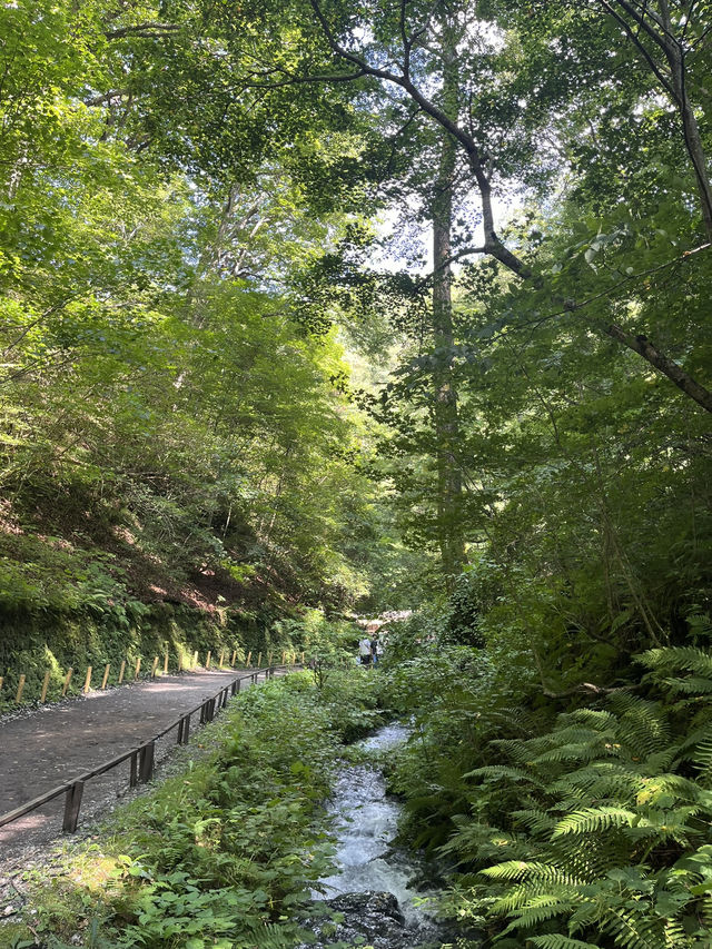 【長野県】軽井沢でマイナスイオンを浴びる🌱