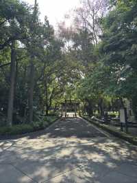 台北｜台大醫院站一日遊指南