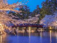 日本三大賞櫻名所之一：弘前公園櫻花海