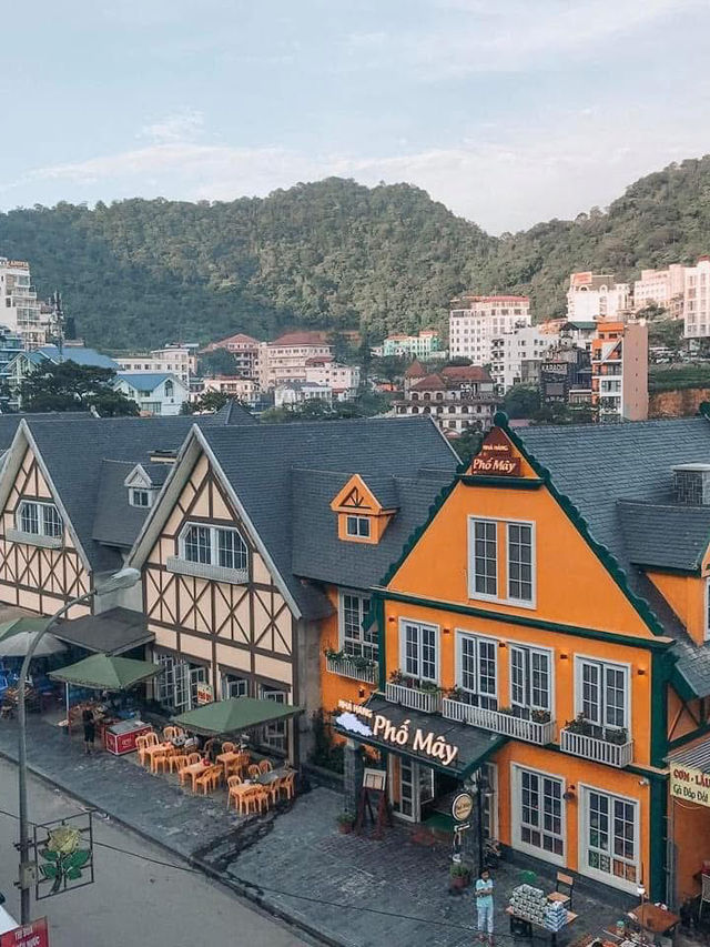 Tam Đảo ngày nắng đẹp 🌞