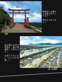 【神社ジャングル海まるごとパワースポットの島】青島