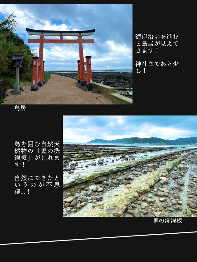【神社ジャングル海まるごとパワースポットの島】青島