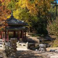 昌德宮秘密花園：隱藏在首爾的靜謐之地