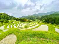 【千葉】東京から1番近い絶景棚田「大山千枚田」