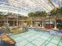 Serenade of the Seas 🎻: A Solo Traveller’s Symphony of Adventure & Relaxation!