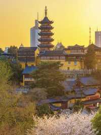 Springtime in Nanjing: A Local’s Recommended Citywalk Route 🌸🚶‍♀️