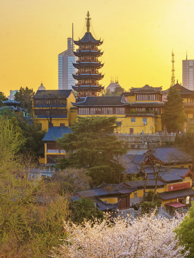 Springtime in Nanjing: A Local’s Recommended Citywalk Route 🌸🚶‍♀️