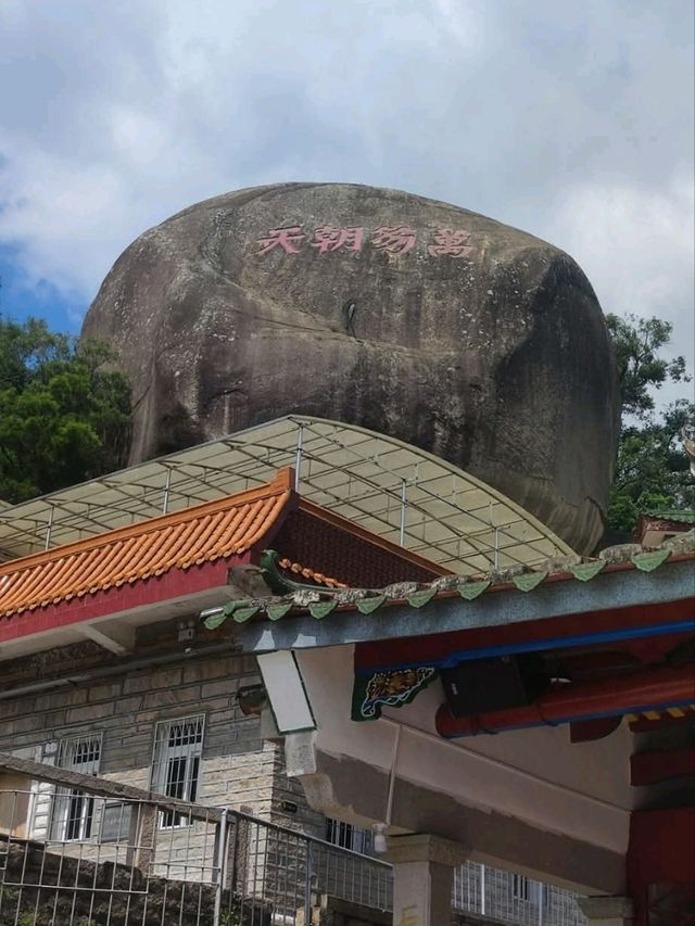 植物種類繁多的廈門園林植物園