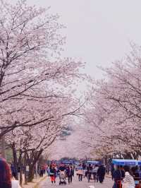 인천대공원으로 봄나들이가요!🌸