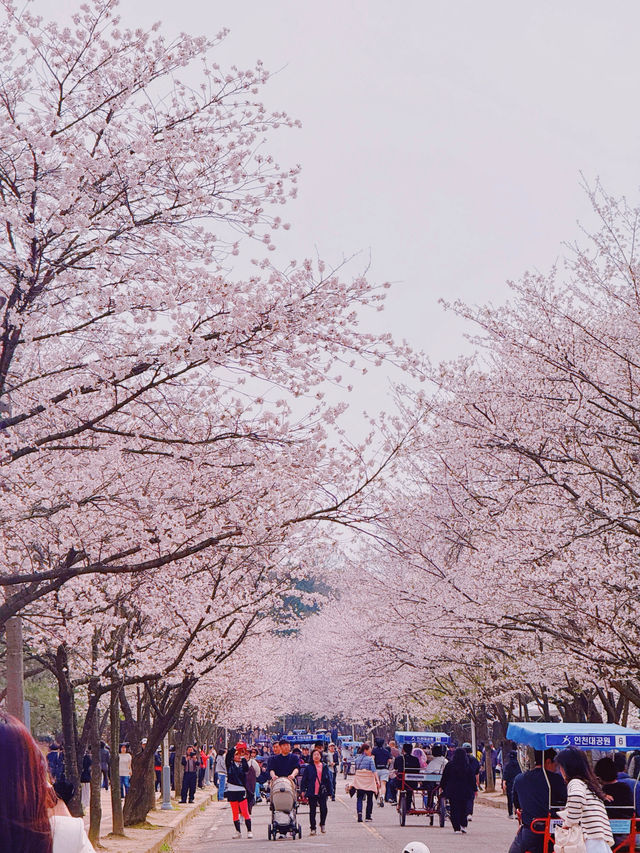 인천대공원으로 봄나들이가요!🌸