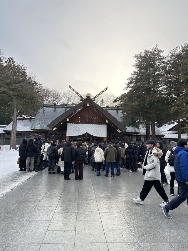 北海道5日遊打卡路線