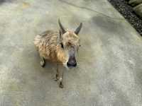 Attractions to visit in Lanyang Animal and Plant Kingdom