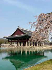 🌆✨ Seoul Searching! – Your Ultimate Guide to the Soul of South Korea 🇰🇷💖