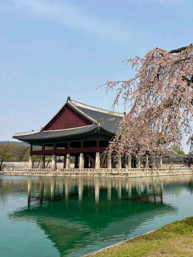 🌆✨ Seoul Searching! – Your Ultimate Guide to the Soul of South Korea 🇰🇷💖