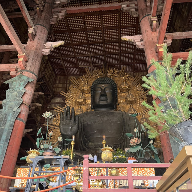 日本奈良半日遊🇯🇵