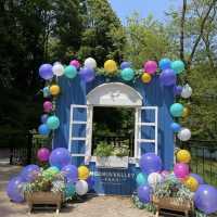 A Stunning Seasonal Escape at Showa Memorial Park