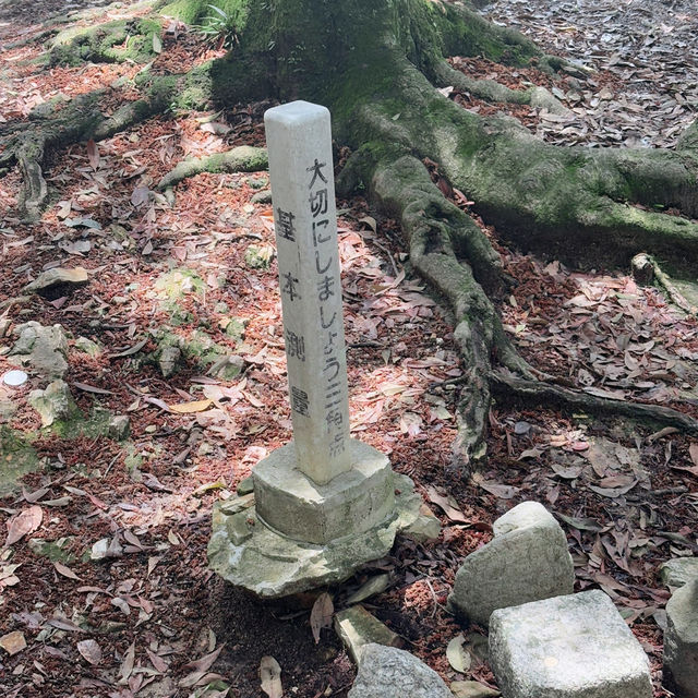 Hiking Through History: Mount Unebi