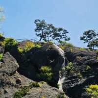 Divine Garden (Daecheongho Aquatic Plant Learning Center)