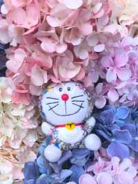 屯門黃金海岸繡球花節