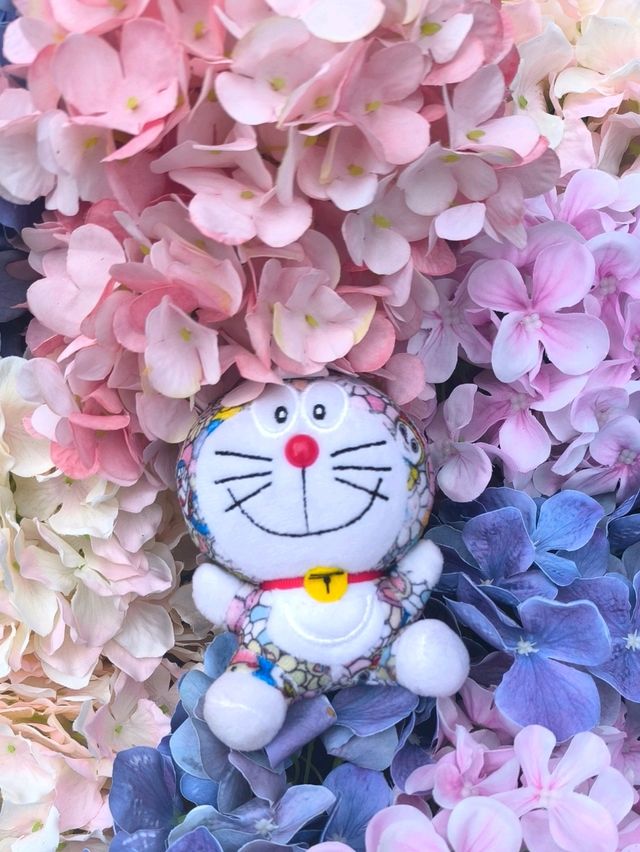屯門黃金海岸繡球花節