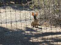 Anza-Borrego Desert State Park – CA