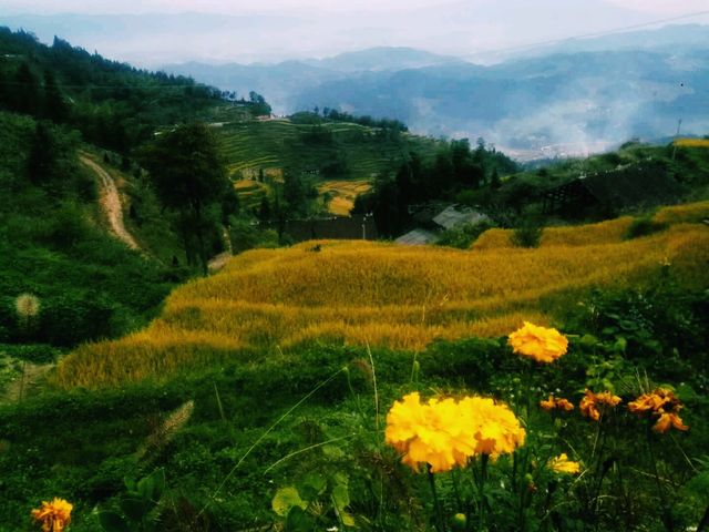 中國湖南婁底新化著名景點：紫鹊界梯田，適合打卡拍照📸