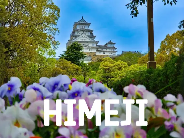 ญี่ปุ่น 10 วัน เที่ยวเอง คุมงบเป๊ะทุกเยน