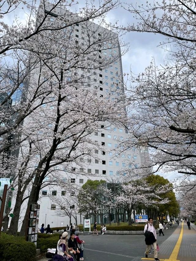 Kawasaki – Japan’s Urban Pulse with a Cultural Soul