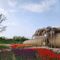 Suncheon Bay National Garden (Suncheon)