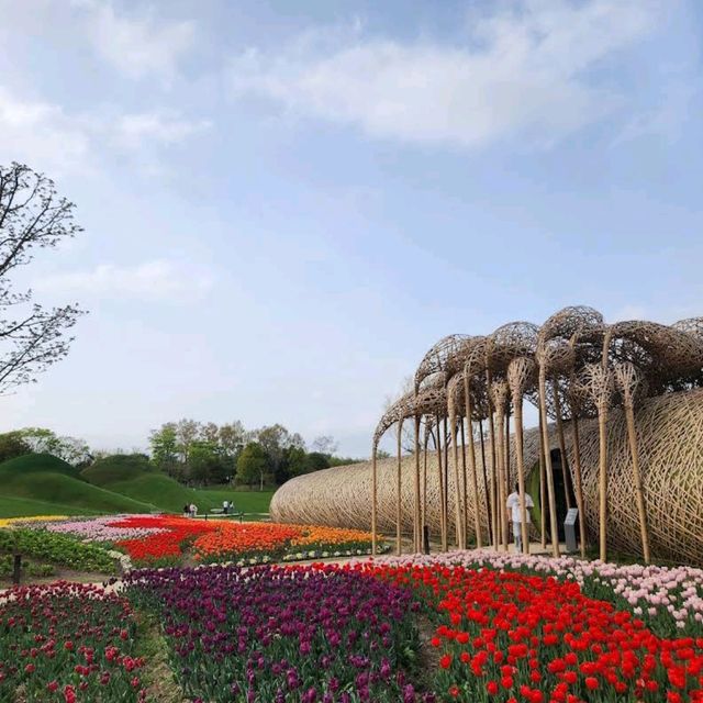 Suncheon Bay National Garden (Suncheon)