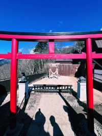 ［東京旅遊］天上山公園-搭乘纜車🚡遠眺富士山🗻風光