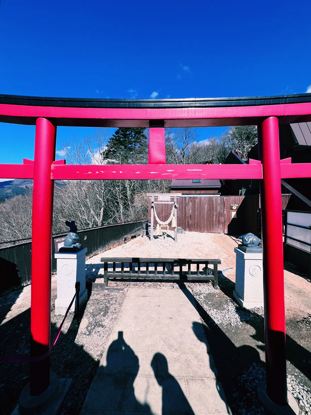 ［東京旅遊］天上山公園-搭乘纜車🚡遠眺富士山🗻風光