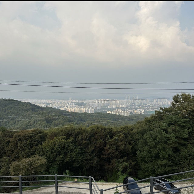 ボジョクサ