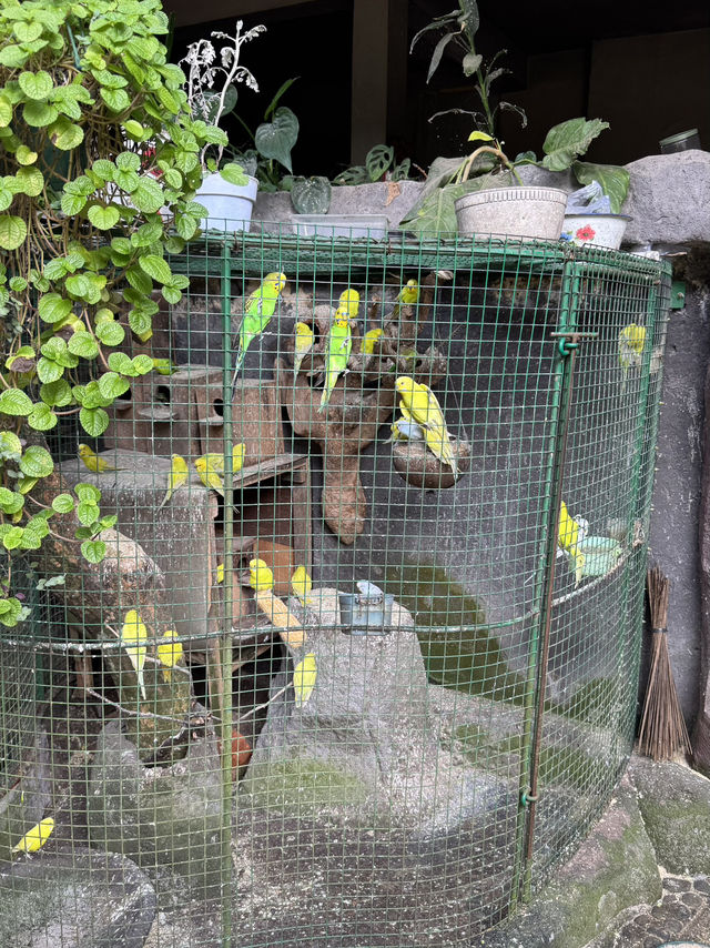 【バリ島/ウブド】リーズナブルでおいしいワルン