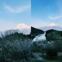 타누키호수에 비추는 후지산
