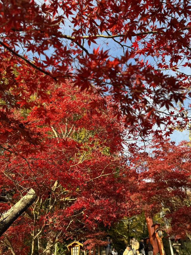 東京｜交通攻略｜新倉山淺間公園｜富士山經典打卡路線