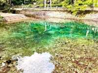 Tottori – Sand Dunes, Sea Breezes, and Stories Untold