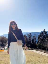 A Day at Qingjing Farm — Up Close with the Fluffy Sheep!