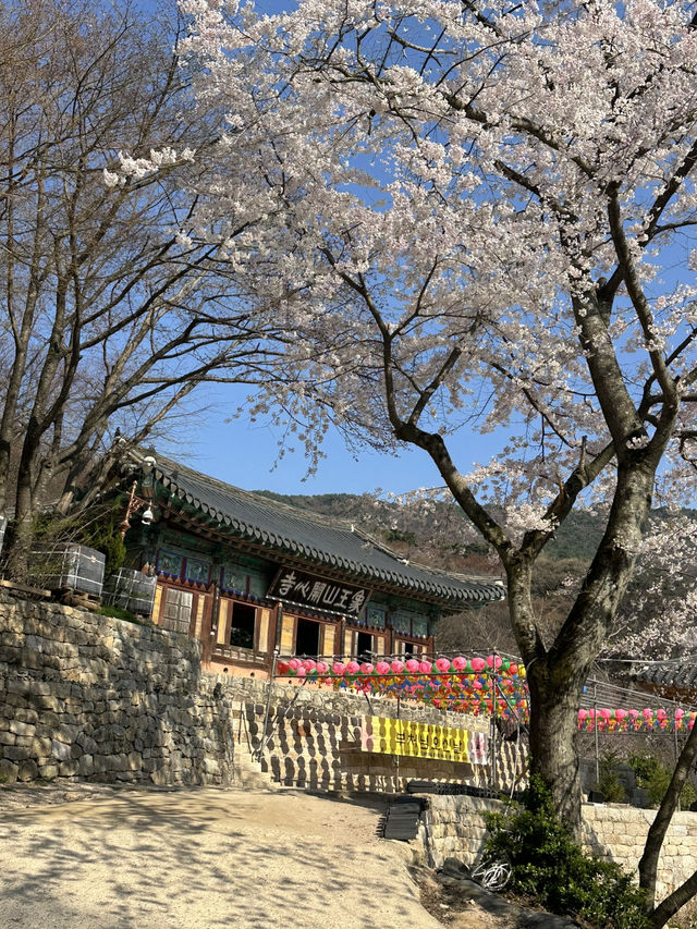 開心是讓你來了就很開心喔