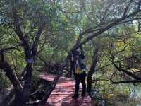 ป่าชายเลน บ้านนาใน สลักเพชร Unseen เกาะช้าง 
