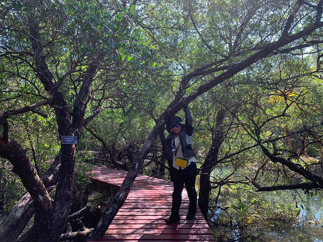ป่าชายเลน บ้านนาใน สลักเพชร Unseen เกาะช้าง 