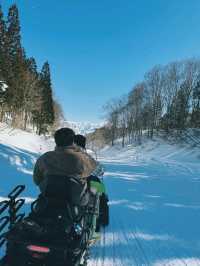 เล่นหิมะที่ Gala Yuzawa Snow Resort