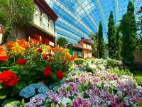 Gardens by the Bay – Singapore’s Futuristic Green Wonderland
