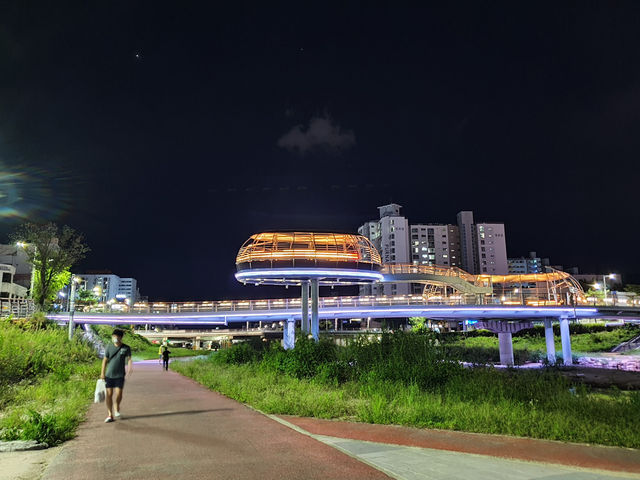 대전 목척교 빛의다리, 밤 산책 명소📸