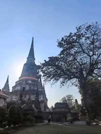 เที่ยววัดใหญ่ชัยมงคล: สัมผัสความสงบกลางเมืองเก่า